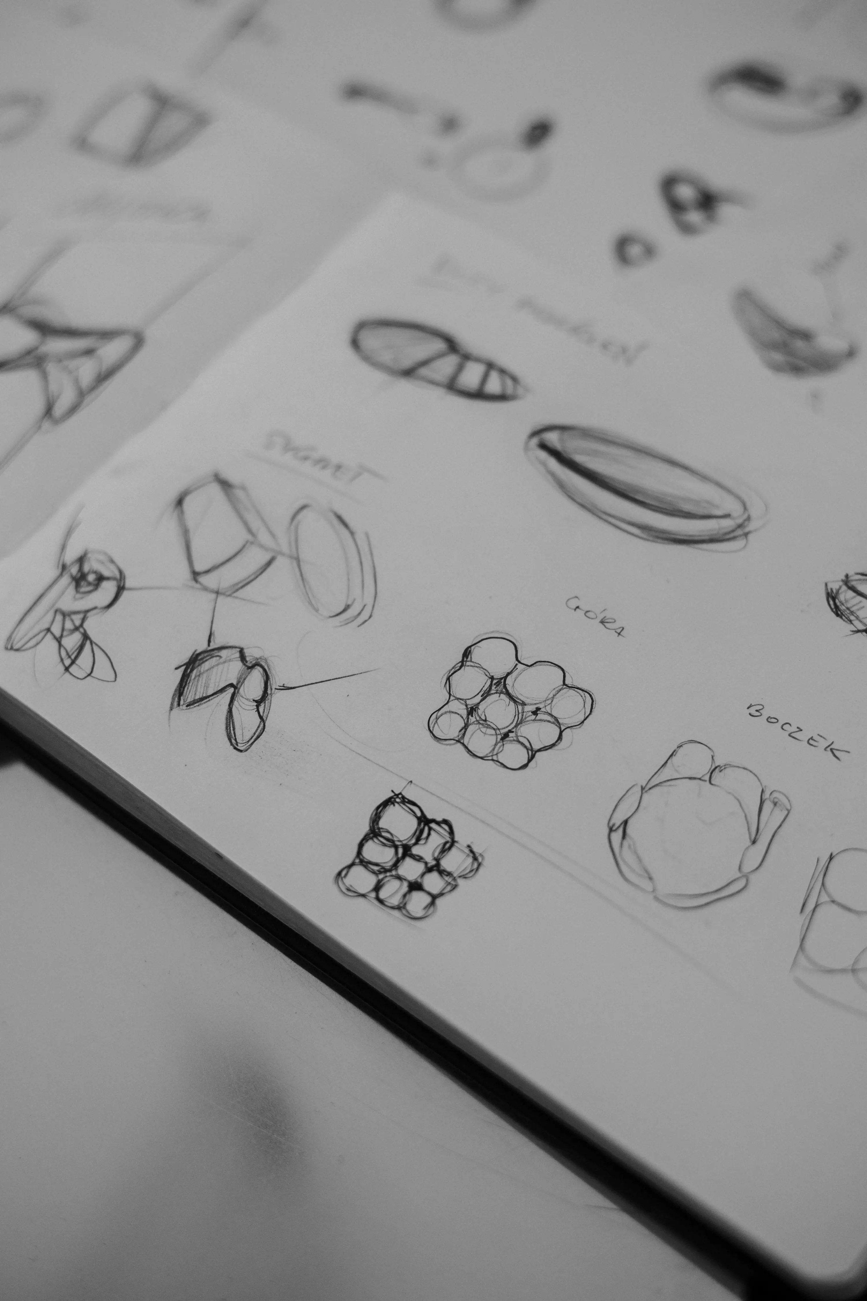 Zdjęcie z kolekcji sketches